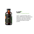 Leaf30