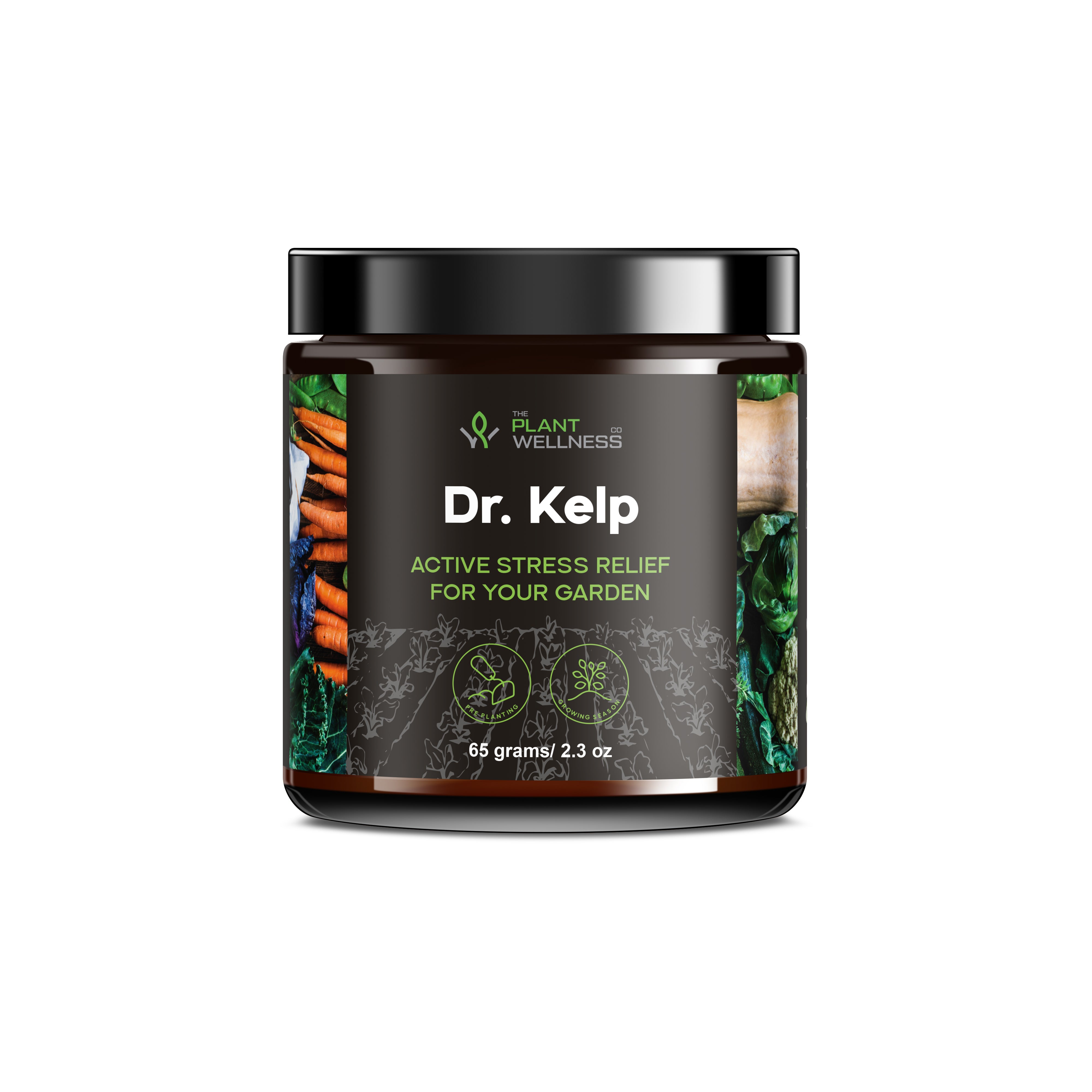 Dr. Kelp